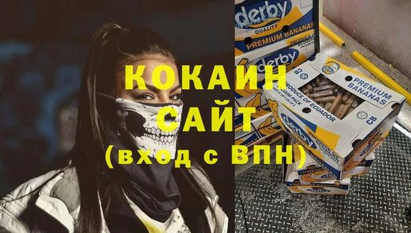 ALPHA PVP Осинники